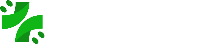 Recurso 2